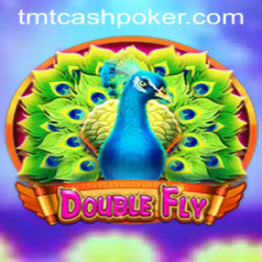 Exploring DoubleFly and TMTCash Poker: A Thrilling Journey